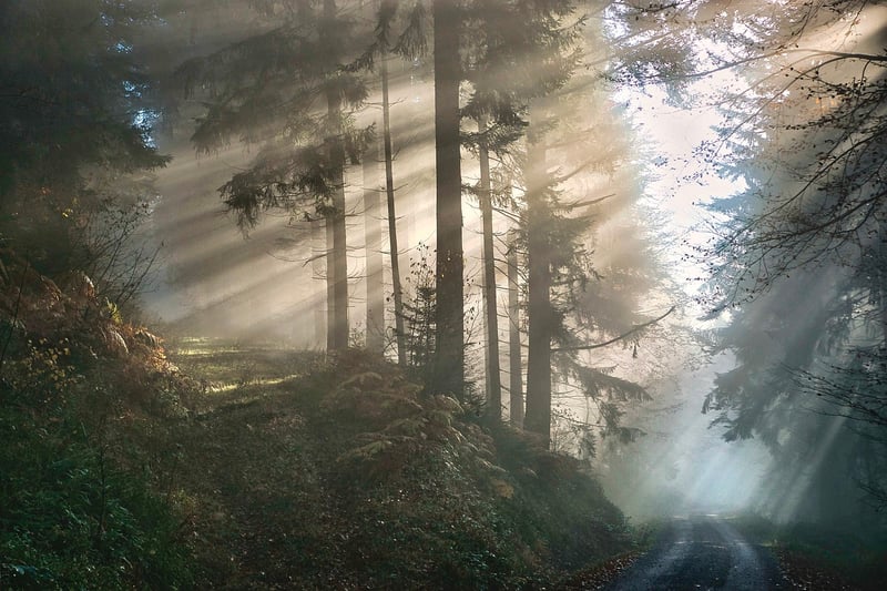 Mystical Melodies